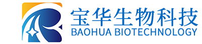 华体会·体育